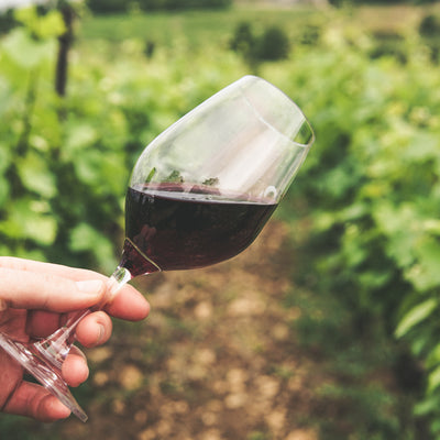 Dit zijn ze: de 5 lekkerste wijnen uit Zuid-Afrika!